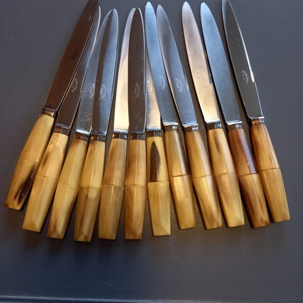 24 Couteaux Art -Déco en Corne Lame acier inoxydable 12 Couteaux à Viande : 23.5 cm 12 Couteaux à Fromage
