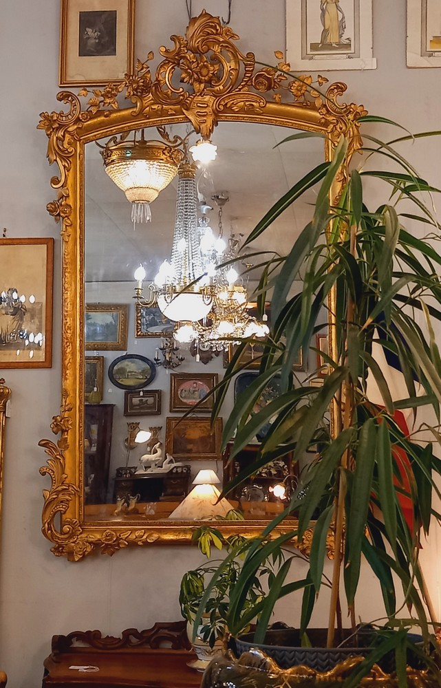 Miroir de Style Louis XV Bois et Stuc doré Motifs Coquille et fleurs époque XIXè