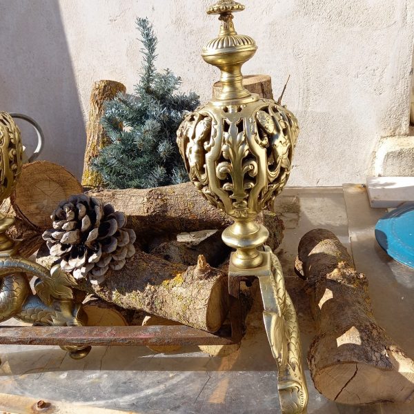 Paire de Chenets en Bronze Décor de Dragons Epoque XVIIIè Siècle.