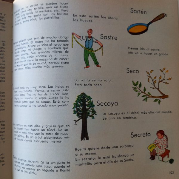 Visaphone, Dictionnaire,illustré,Espagnol,Guillermo Berger,1964, livrevintage,