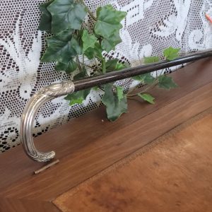 Canne Pommeau Argent Bois Noirci Fin XIXè Siècle