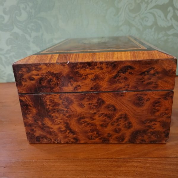 Coffret, Boîte à Bijoux Loupe de Thuya