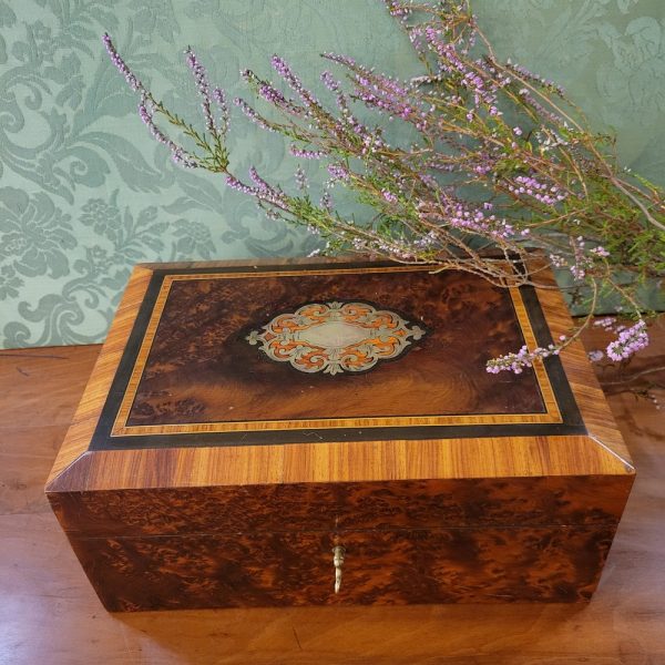 Coffret, Boîte à Bijoux Loupe de Thuya