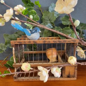 Petite Cage à Oiseaux