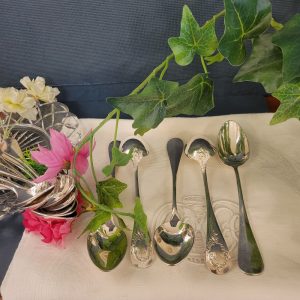 12 Petites Cuillères Boulenger