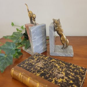Serre Livres Chien Chat